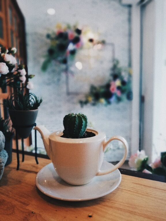 How to Refresh Your Home with Plants: Easy Tips for a Green Makeover